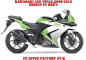 Preview: EV-R Grün für Kawasaki Ninja 250 2008-2012